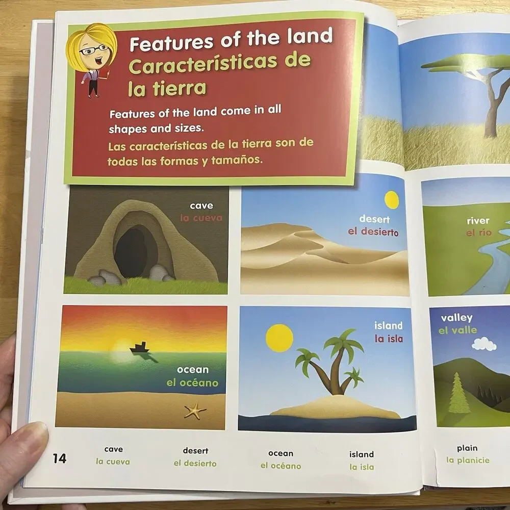 Set of 4 My Book of Colors Numbers Shapes Words Bilingual English and Spanish